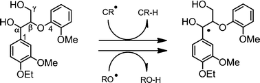 Graphical abstract: Alkoxyl- and carbon-centered radicals as primary agents for degrading non-phenolic lignin-substructure model compounds