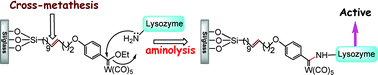 Graphical abstract: Covalent immobilization of active lysozyme on Si/glass surface using alkoxy Fischer carbene complex on SAM