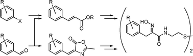 Graphical abstract: New synthetic strategies towards psammaplin A, access to natural product analogues for biological evaluation