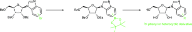 Graphical abstract: A one pot three-step process for the synthesis of an array of arylated benzimidazoribosyl nucleosides