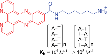 Graphical abstract: Water-soluble amino derivatives of free-base dppz – syntheses and DNA binding studies