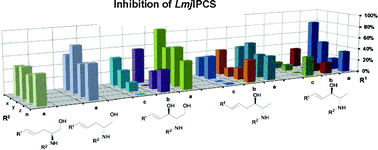 Graphical abstract: Exploring Leishmania majorInositol Phosphorylceramide Synthase (LmjIPCS): Insights into the ceramide binding domain