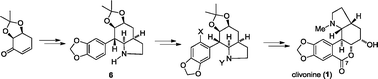 Graphical abstract: Total synthesis of the Amaryllidaceae alkaloid clivonine