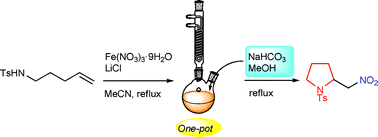 Graphical abstract: Iron-mediated one-pot formal nitrocyclization onto unactivated alkenes
