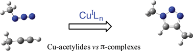 Graphical abstract: Assessing the whole range of CuAAC mechanisms by DFT calculations—on the intermediacy of copper acetylides