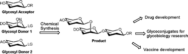 Graphical abstract: Carbohydrate chemistry in drug discovery