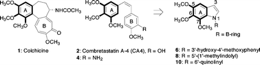 Graphical abstract: Concise syntheses of N-aryl-5,6,7-trimethoxyindoles as antimitotic and vascular disrupting agents: application of the copper-mediated Ullmann-type arylation