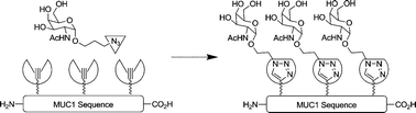 Graphical abstract: Synthesis of MUC1 Neoglycopeptides using efficient microwave-enhanced chaotrope-assisted click chemistry