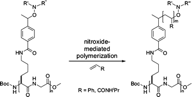 Graphical abstract: Aggregation behaviour of peptide–polymer conjugates containing linear peptide backbones and multiple polymer side chains prepared by nitroxide-mediated radical polymerization