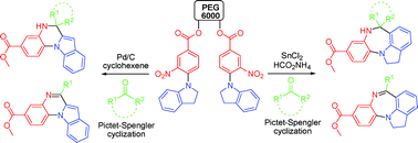 Graphical abstract: Soluble polymer supported divergent synthesis of tetracyclic benzene-fused pyrazino/diazepino indoles: an advanced synthetic approach to bioactive scaffolds