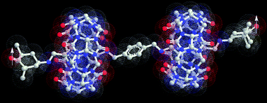 Graphical abstract: Nitroxide biradicals as thread units in paramagnetic cucurbituril-based rotaxanes