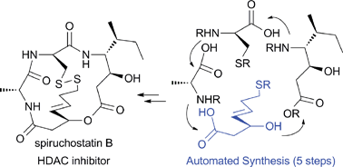 Graphical abstract: Total synthesis of spiruchostatin B aided by an automated synthesizer