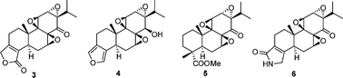 Graphical abstract: Total synthesis of novel D-ring-modified triptolide analogues: structure–cytotoxic activity relationship studies on the D-ring of triptolide