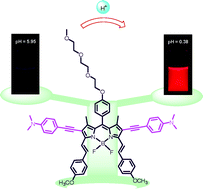Graphical abstract: A ratiometric near-infrared pH-responsive fluorescent dye based on distyryl BODIPY