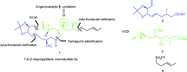 Graphical abstract: A stereoselective total synthesis of 7,8-O-isopropylidene iriomoteolide-3a