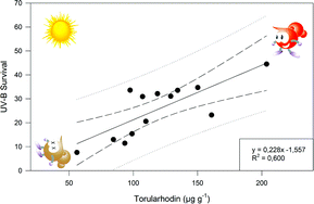 Graphical abstract: Photoprotection by carotenoid pigments in the yeast Rhodotorula mucilaginosa: the role of torularhodin