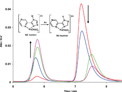 Graphical abstract: Photoinduced ligand isomerisation in a pyrazine-containing ruthenium polypyridyl complex