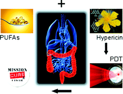 Graphical abstract: PUFAs enhance oxidative stress and apoptosis in tumour cells exposed to hypericin-mediated PDT