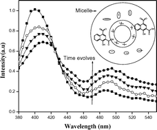 Graphical abstract: Influence of surfactants on the excited state photophysics of 4-nitro-1-hydroxy-2-naphthoic acid