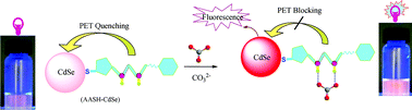 Graphical abstract: Urea-type ligand-modified CdSe quantum dots as a fluorescence “turn-on” sensor for CO32− anions