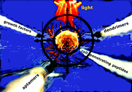 Graphical abstract: Targeted photodynamic therapy – a promising strategy of tumor treatment