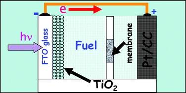 Graphical abstract: A photoactivated fuel cell used as an apparatus that consumes organic wastes to produce electricity