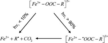 Graphical abstract: Intermediates in photochemistry of Fe(iii) complexes with carboxylic acids in aqueous solutions