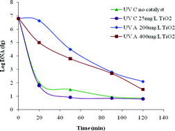 Graphical abstract: Disinfection of water and wastewater by UV-A and UV-C irradiation: application of real-time PCR method