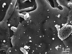 Graphical abstract: Microstructure and performance of titanium oxide coatings sprayed by oxygen-acetylene flame