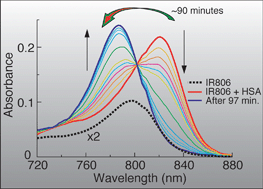 Graphical abstract: Modification of near-infrared cyanine dyes by serum albumin protein