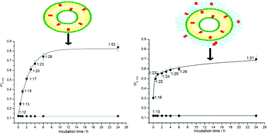 Graphical abstract: Redistribution of meta-tetra(hydroxyphenyl)chlorin (m-THPC) from conventional and PEGylated liposomes to biological substrates