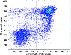 Graphical abstract: Photo induced hexylaminolevulinate destruction of rat bladder cells AY-27