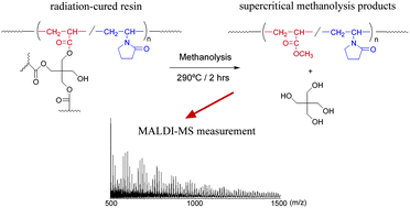 Graphical abstract: Characterization of network structure in radiation-cured resins of polyfunctional acrylic ester and N-vinylpyrrolidone by MALDI-MS combined with supercritical methanolysis