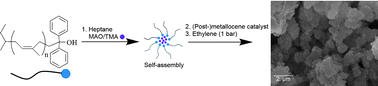 Graphical abstract: Organic support for ethylene polymerization based on the self-assembly in heptane of end-functionalized polyisoprene