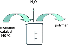 Graphical abstract: Catalytic polymerization of ε-caprolactone in air