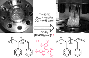 Graphical abstract: Facile and selective synthesis of aldehyde end-functionalized polymers using a combination of catalytic chain transfer and rhodium catalyzed hydroformylation