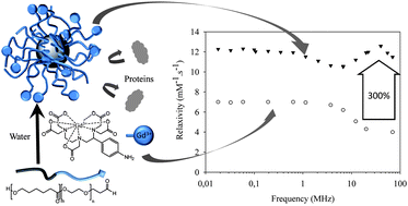 Graphical abstract: Polymer micelles decorated by gadolinium complexes as MRI blood contrast agents: design, synthesis and properties