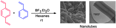 Graphical abstract: Synthesis of nanotubes via cationic polymerization of styrene and divinylbenzene