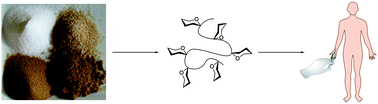 Graphical abstract: A spoonful of sugar: the application of glycopolymers in therapeutics