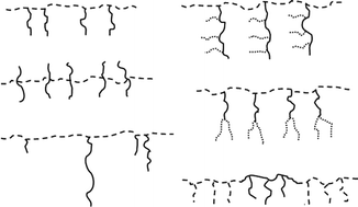 Graphical abstract: Synthesis of well-defined multigraft copolymers