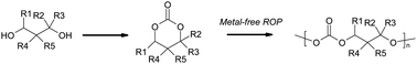 Graphical abstract: Functionalized cyclic carbonates: from synthesis and metal-free catalyzed ring-opening polymerization to applications