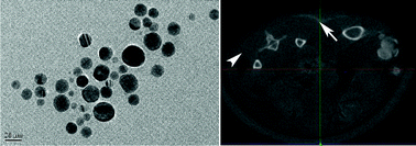 Graphical abstract: Size-controlled synthesis of dendrimer-stabilized silver nanoparticles for X-ray computed tomography imaging applications