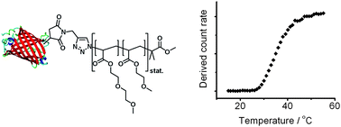 Graphical abstract: Thermoresponsive giant biohybrid amphiphiles