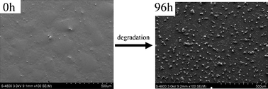 Graphical abstract: Preparation and rapid degradation of nontoxic biodegradable polyurethanes based on poly(lactic acid)-poly(ethylene glycol)-poly(lactic acid) and l-lysine diisocyanate