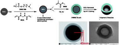 Graphical abstract: Polymeric vesicles with well-defined poly(methyl methacrylate) (PMMA) brushes via surface-initiated photopolymerization (SIPP)