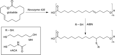 Graphical abstract: Side-chain functionalisation of unsaturated polyesters from ring-opening polymerisation of macrolactones by thiol–ene click chemistry