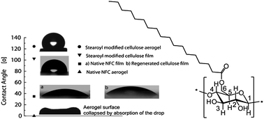 Graphical abstract: Highly water repellent aerogels based on cellulose stearoyl esters