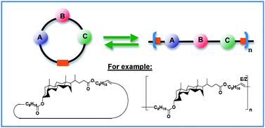 Graphical abstract: Recent advances in entropy-driven ring-opening polymerizations