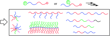 Graphical abstract: Chain-end- and in-chain-functionalized AB diblock copolymers as key building blocks in the synthesis of well-defined architectural polymers