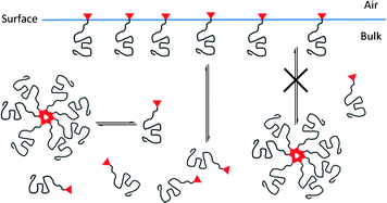 Graphical abstract: Multi-end functionalised polymer additives synthesised by living anionic polymerisation—the impact of additive molecular structure upon surface properties